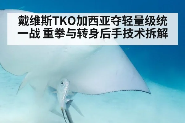 戴维斯TKO加西亚夺轻量级统一战 重拳与转身后手技术拆解